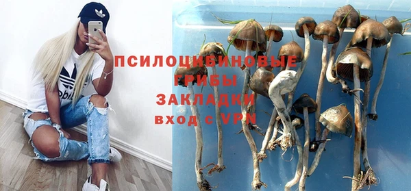 меф Алексин