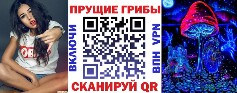 Псилоцибиновые грибы мицелий Томари
