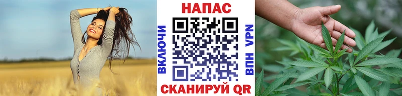 наркошоп  Томари  Каннабис Amnesia 
